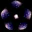 Deneb from Noom
